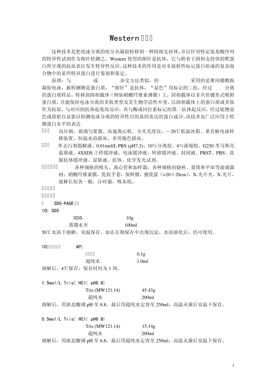 Western印迹法_第1页