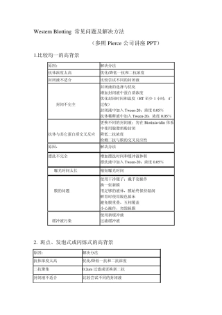 western显影问题及解决方案以及抗体选择
