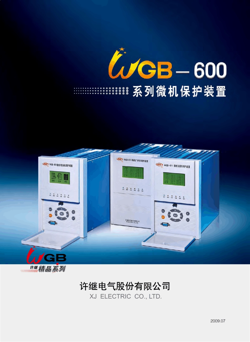 WGB600系列选型说明书2009.07_第1页