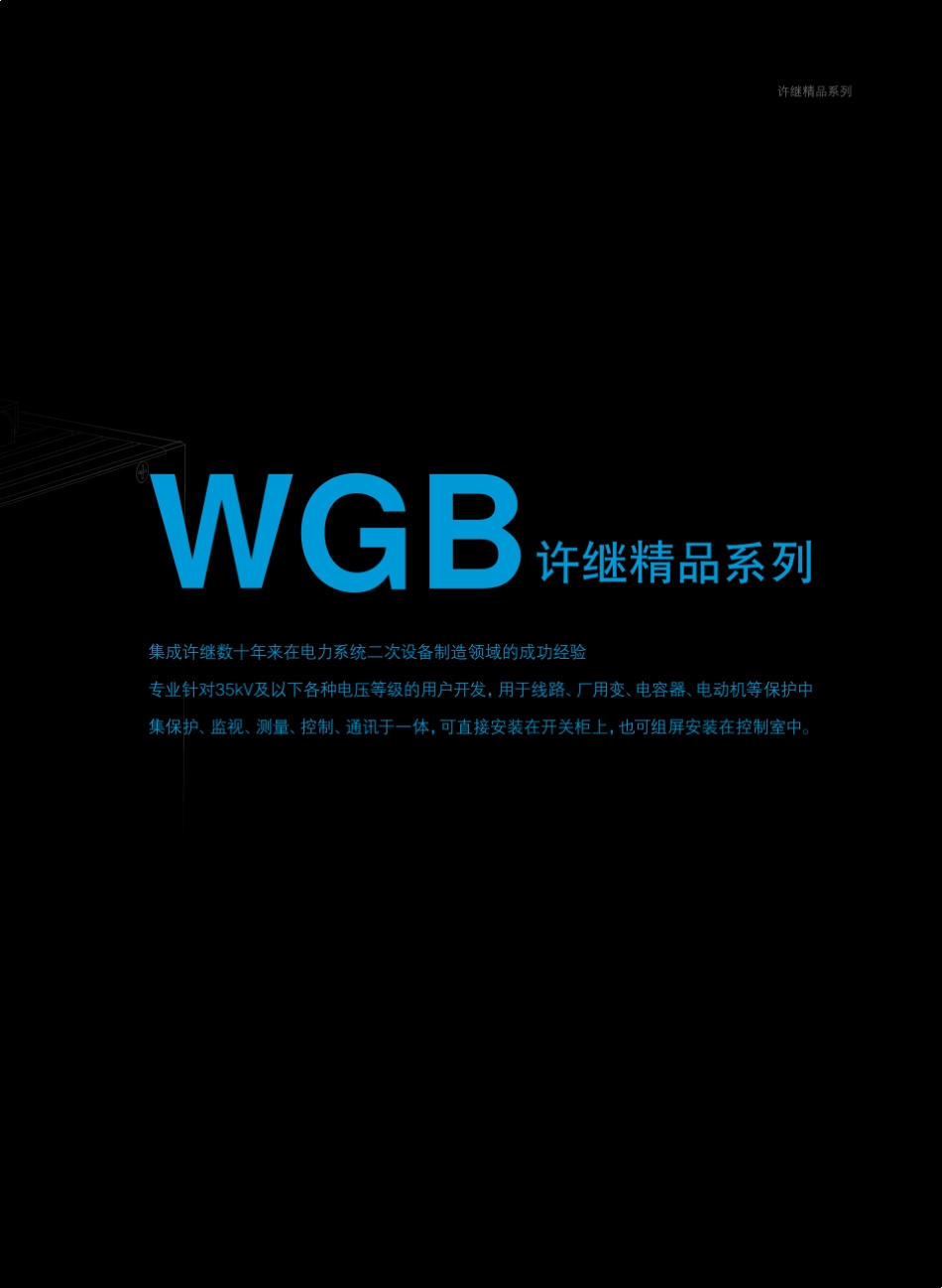 WGB600系列选型说明书2009.07_第3页