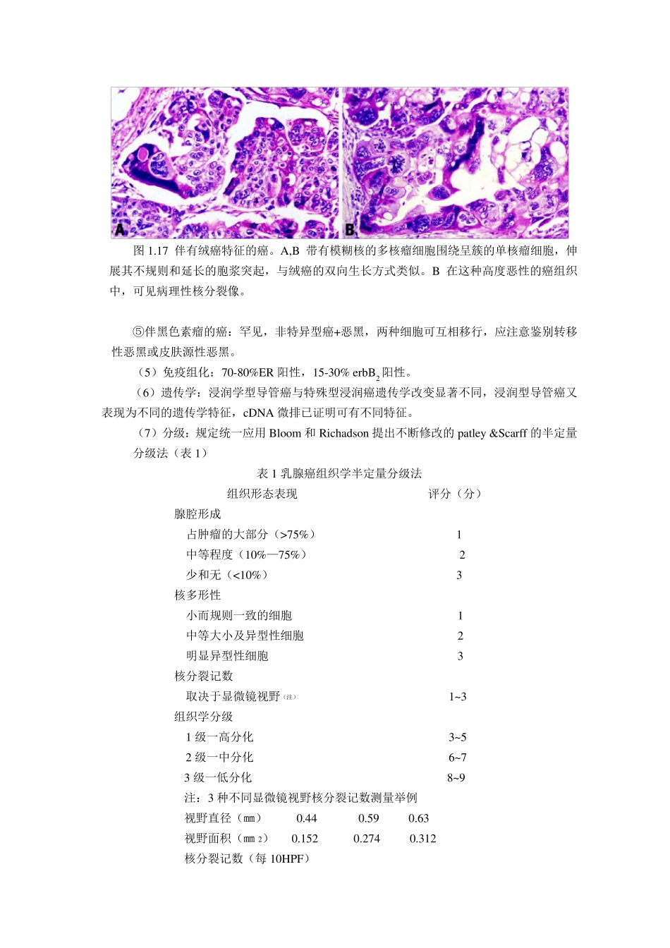 WHO乳腺肿瘤组织学分类9月1日_第3页