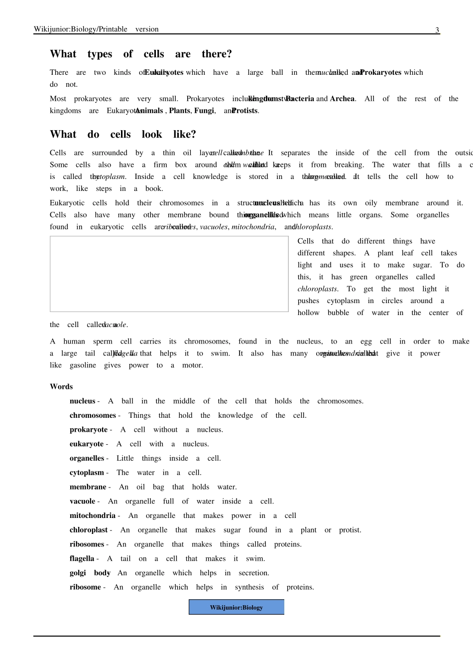 WikijuniorBiology英文儿童读物生物_第3页