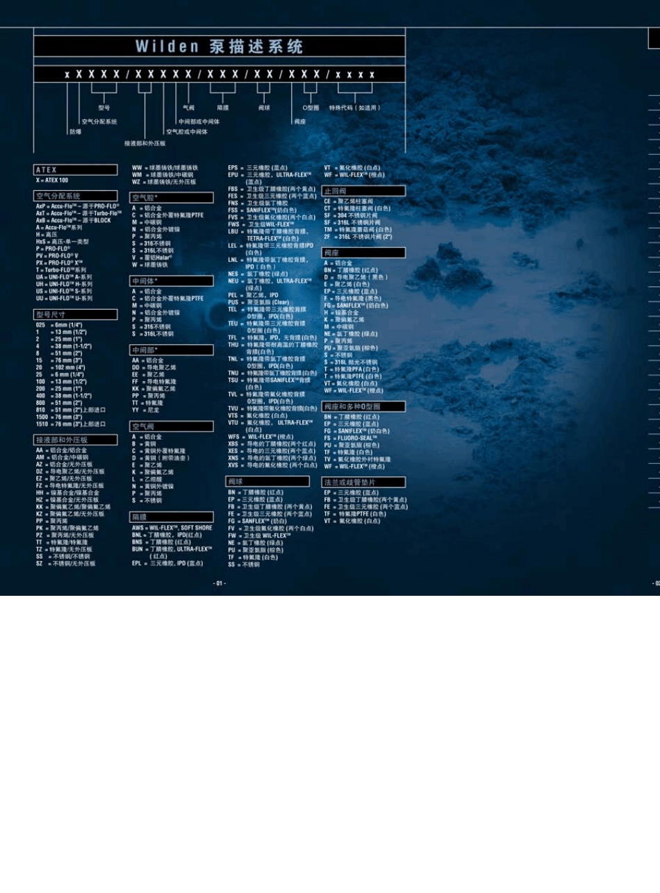 WILDEN威尔顿气动隔膜泵产品手册_第2页