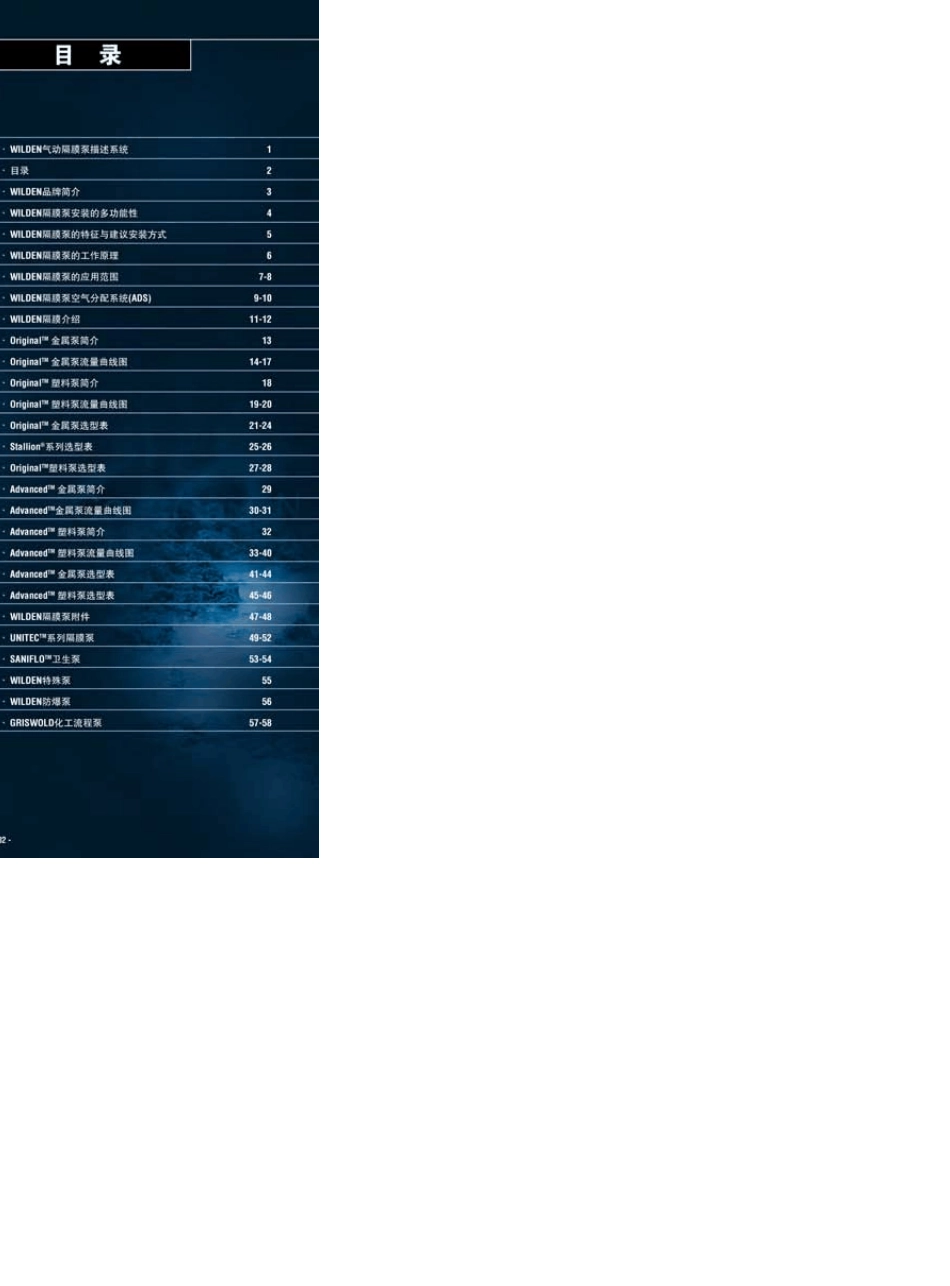 WILDEN威尔顿气动隔膜泵产品手册_第3页