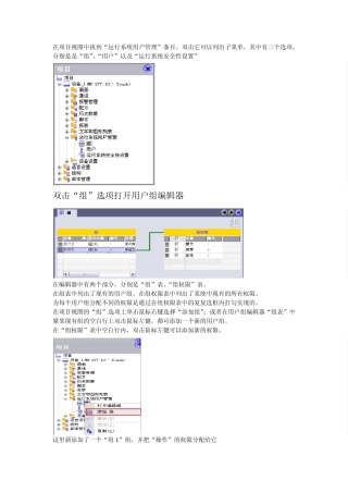 WINCCFLEXIBLE多用户登录(李洋)