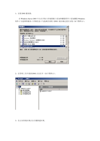 WindowsServer2003之DNS配置