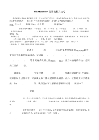 WisMencoder使用教程及技巧