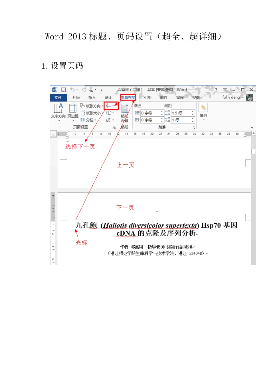 Word2013标题、页码、检索_第1页