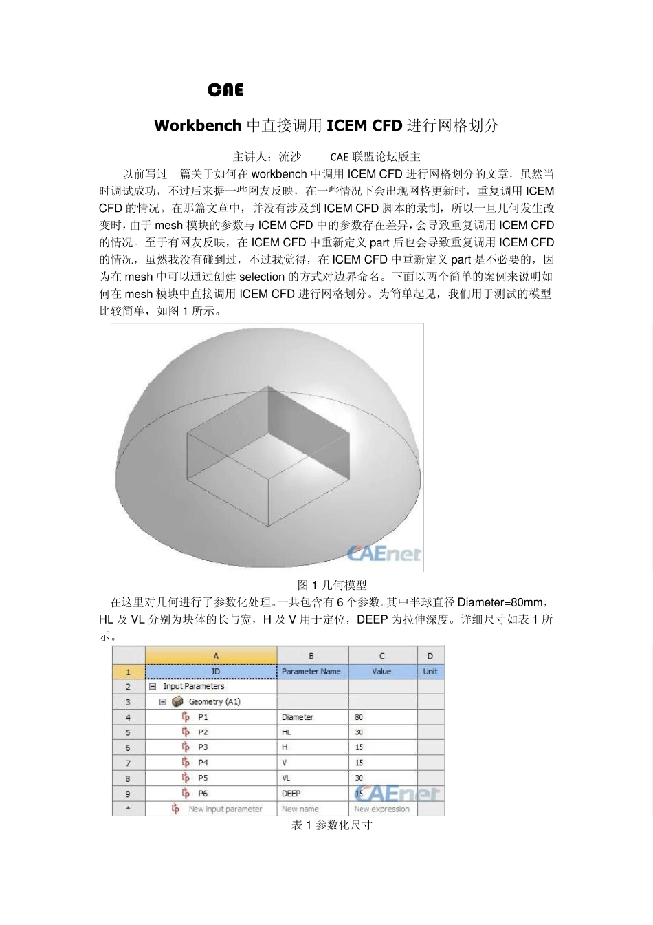 Workbench中直接调用ICEMCFD进行网格划分_第1页