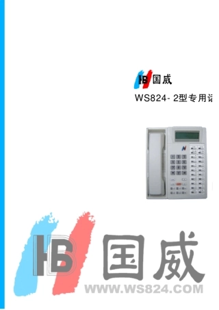 WS8242专用话机说明书