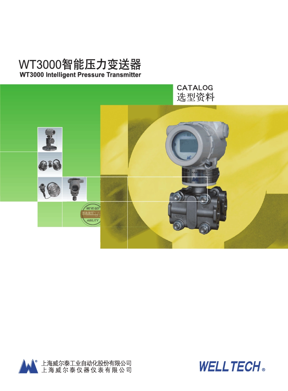 WT3000智能压力变送器_第1页
