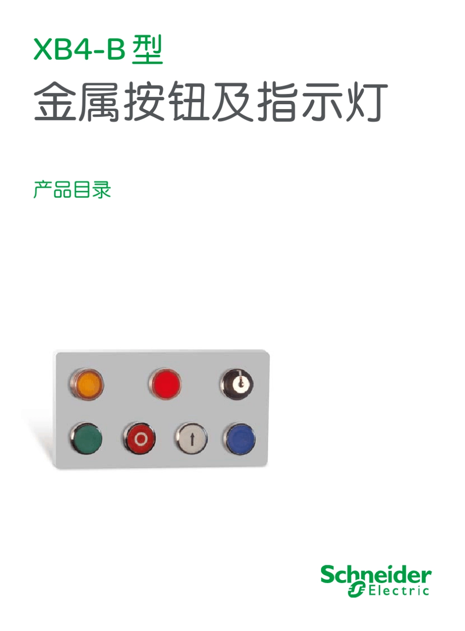 XB4B金属按钮及指示灯SCDOC303LVCN_第1页