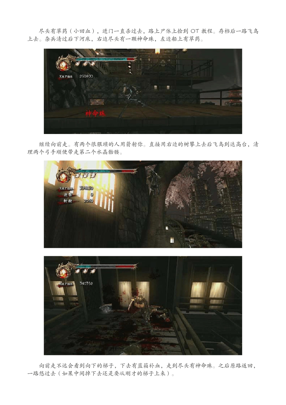 XBOX360《忍龙2》详细图文流程全攻略_第3页