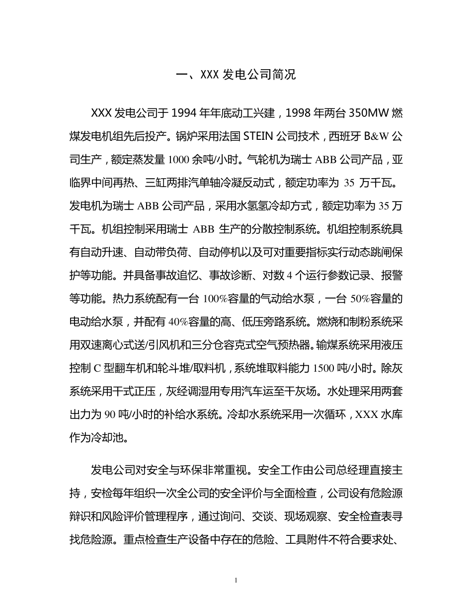 XXX发电公司风险评估报告_第2页
