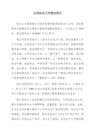 XX公司安全工作情况简介