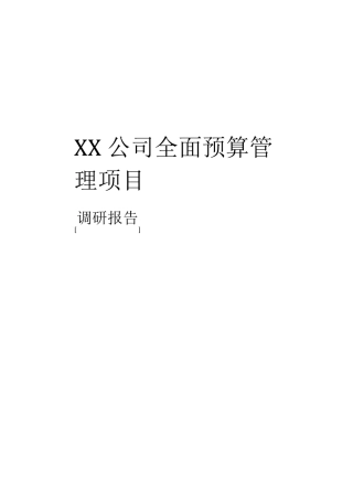 xx公司预算编制调研报告