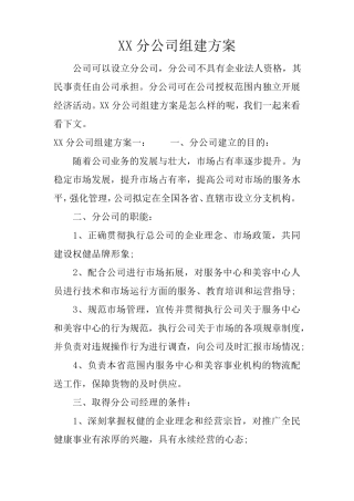 XX分公司组建方案