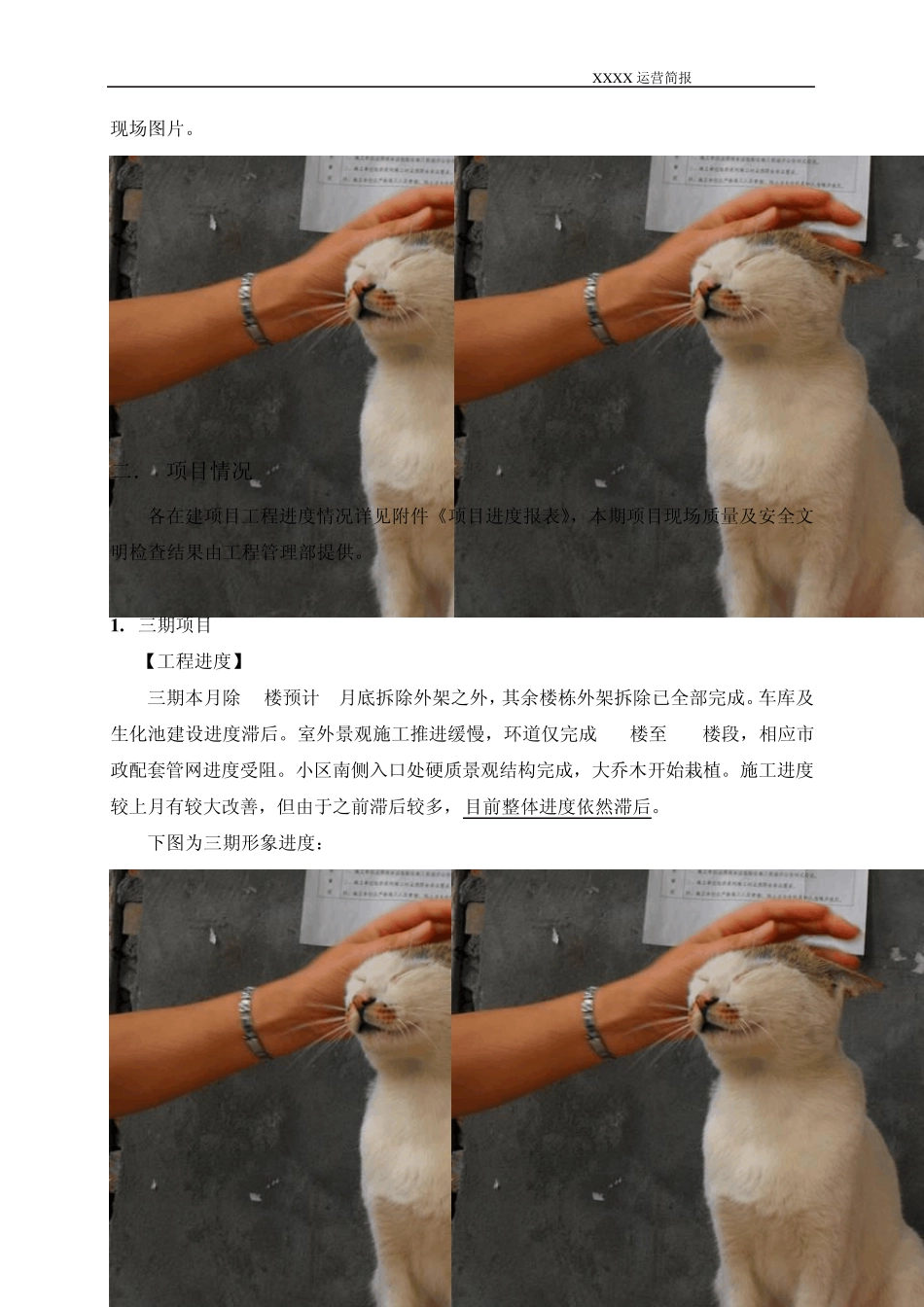 xx月度运营简报_第3页