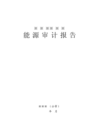 XX能源审计报告
