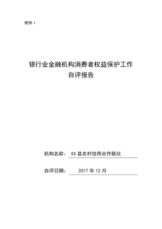 XX银行消费者权益保护工作自评报告