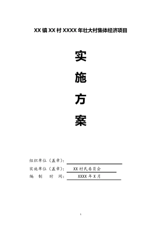 XX镇XX村发展壮大村集体经济基金村级使用实施方案