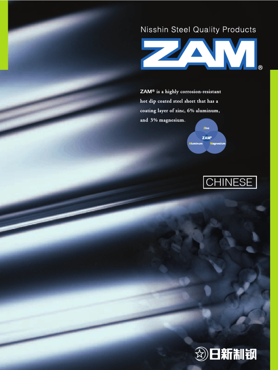 zam镀铝镁锌_第1页