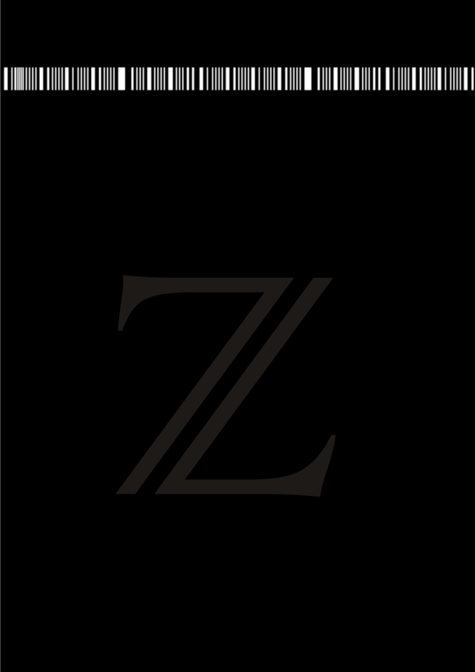 ZARA市场调研_第1页