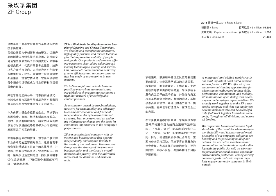 ZF采埃孚集团简介_第2页
