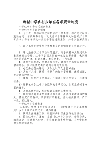麻城中学乡村少年宫各项规章制度