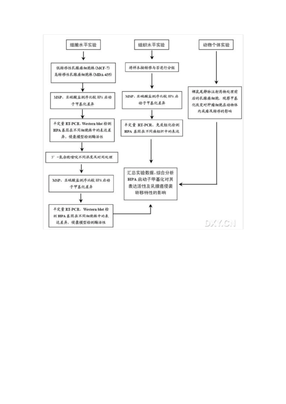 [2013年国家自然基金经验汇总四]70种技术路线汇总_第2页
