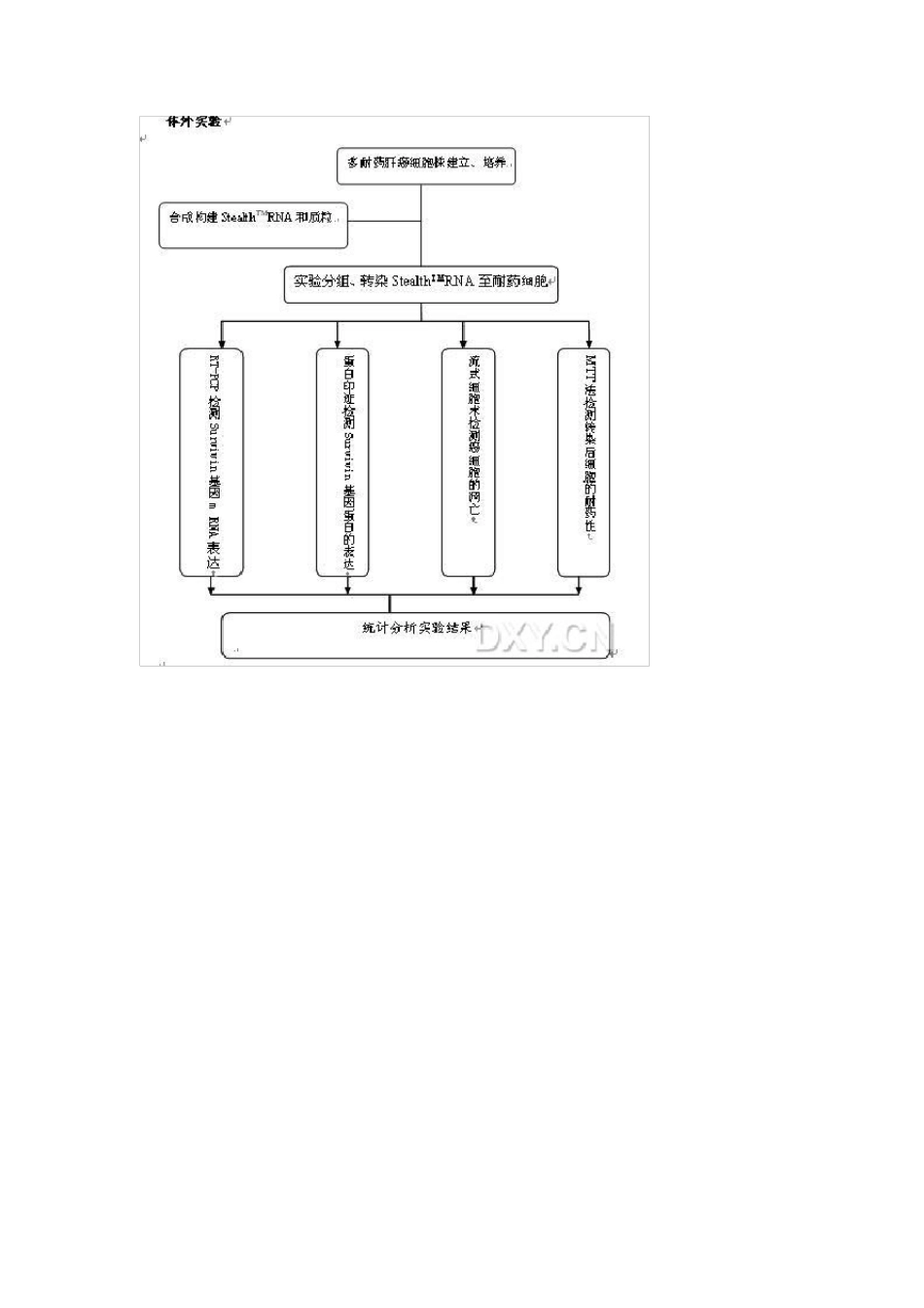[2013年国家自然基金经验汇总四]70种技术路线汇总_第3页