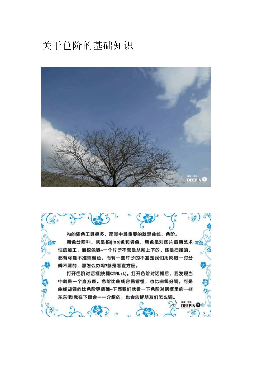 [Photoshop实例教程]色阶的基础知识_第1页