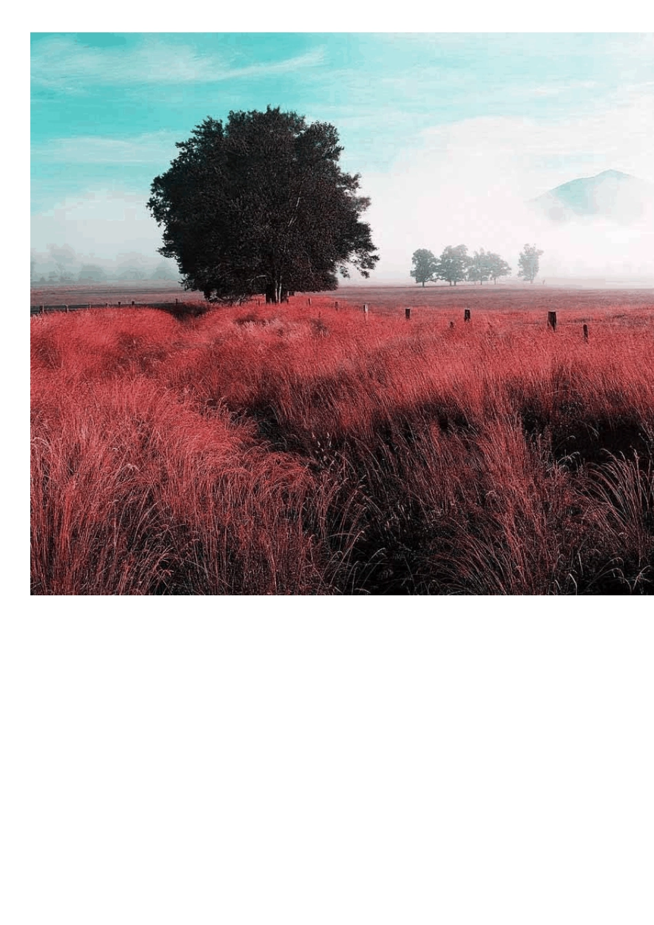 [Photoshop实例教程]通道替换调色_第3页