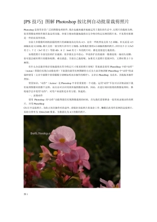 [PS技巧]图解Photoshop按比例自动批量裁剪...