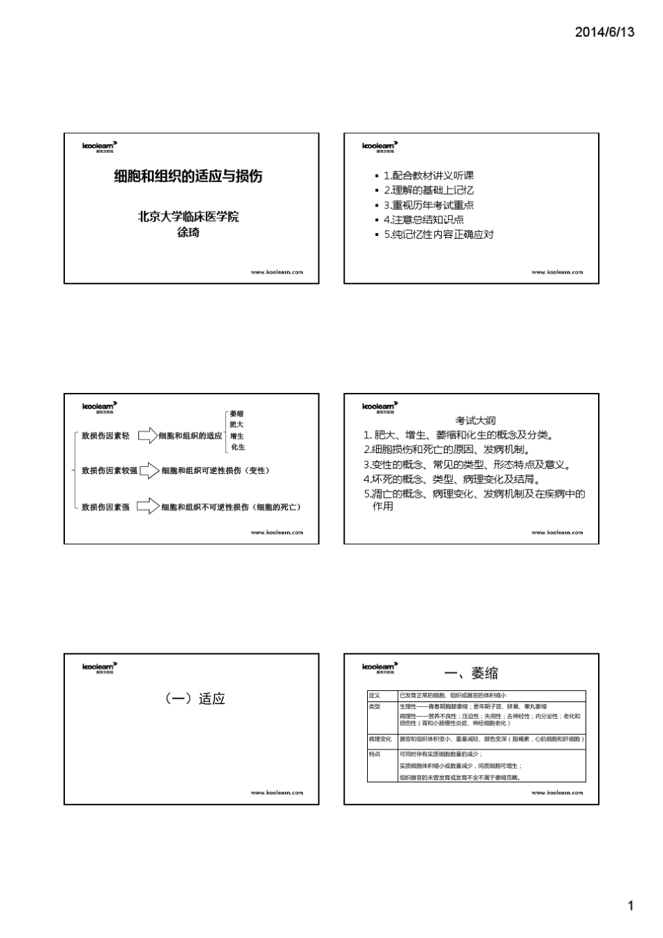 [XX02]15考研西医综合病理学精讲课程徐琦老师完整讲义(6页版)93页_第1页
