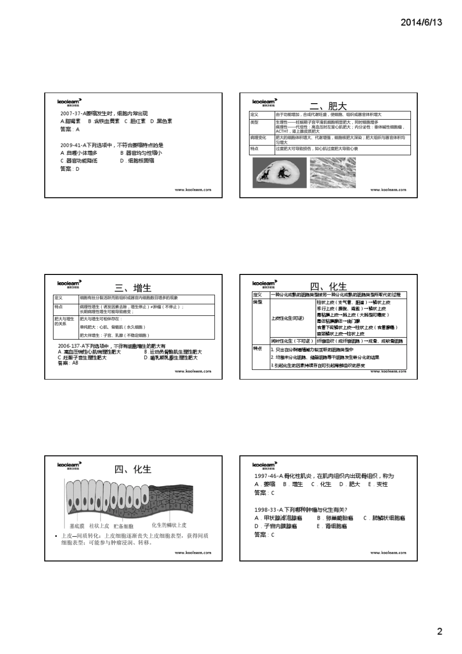 [XX02]15考研西医综合病理学精讲课程徐琦老师完整讲义(6页版)93页_第2页