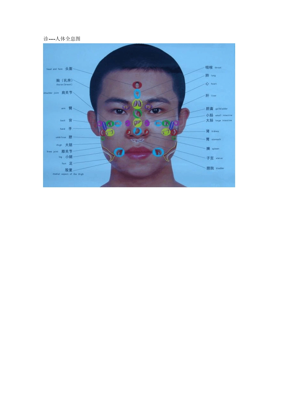 [从头到脚人体全息图]_第1页