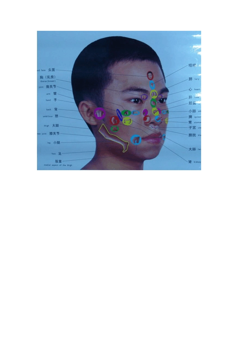 [从头到脚人体全息图]_第2页