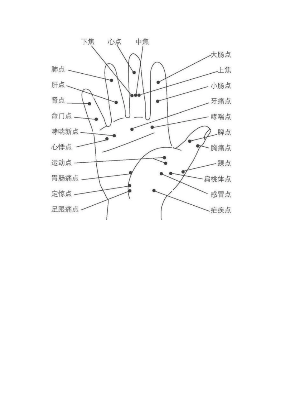 [从头到脚人体全息图]_第3页
