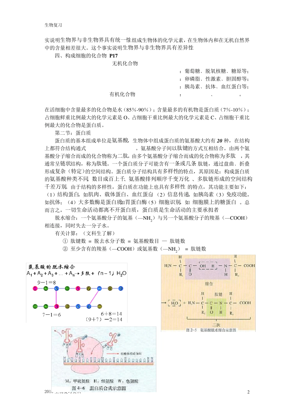 [会考+高考]高中生物知识点汇编[必修+选修专题]_第2页