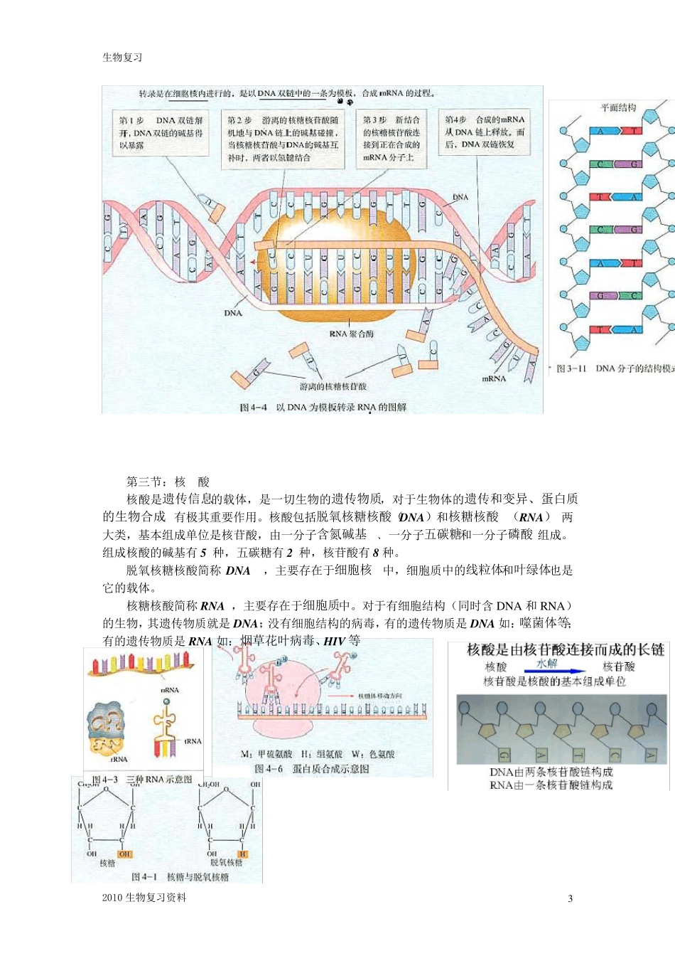 [会考+高考]高中生物知识点汇编[必修+选修专题]_第3页
