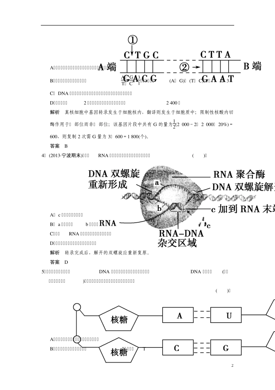 [创新设计](浙江专版)2014届高三生物二轮最新试题专题提升训练专题4第1讲遗传的分子基础_第2页