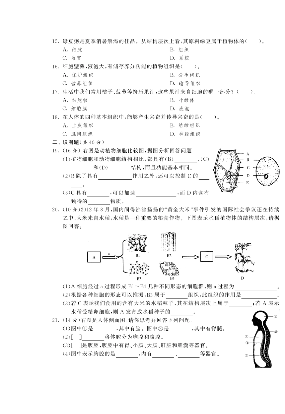 [单元突破]七年级生物下册生物体的基本结构与结构层次专题整合复习卷_第3页