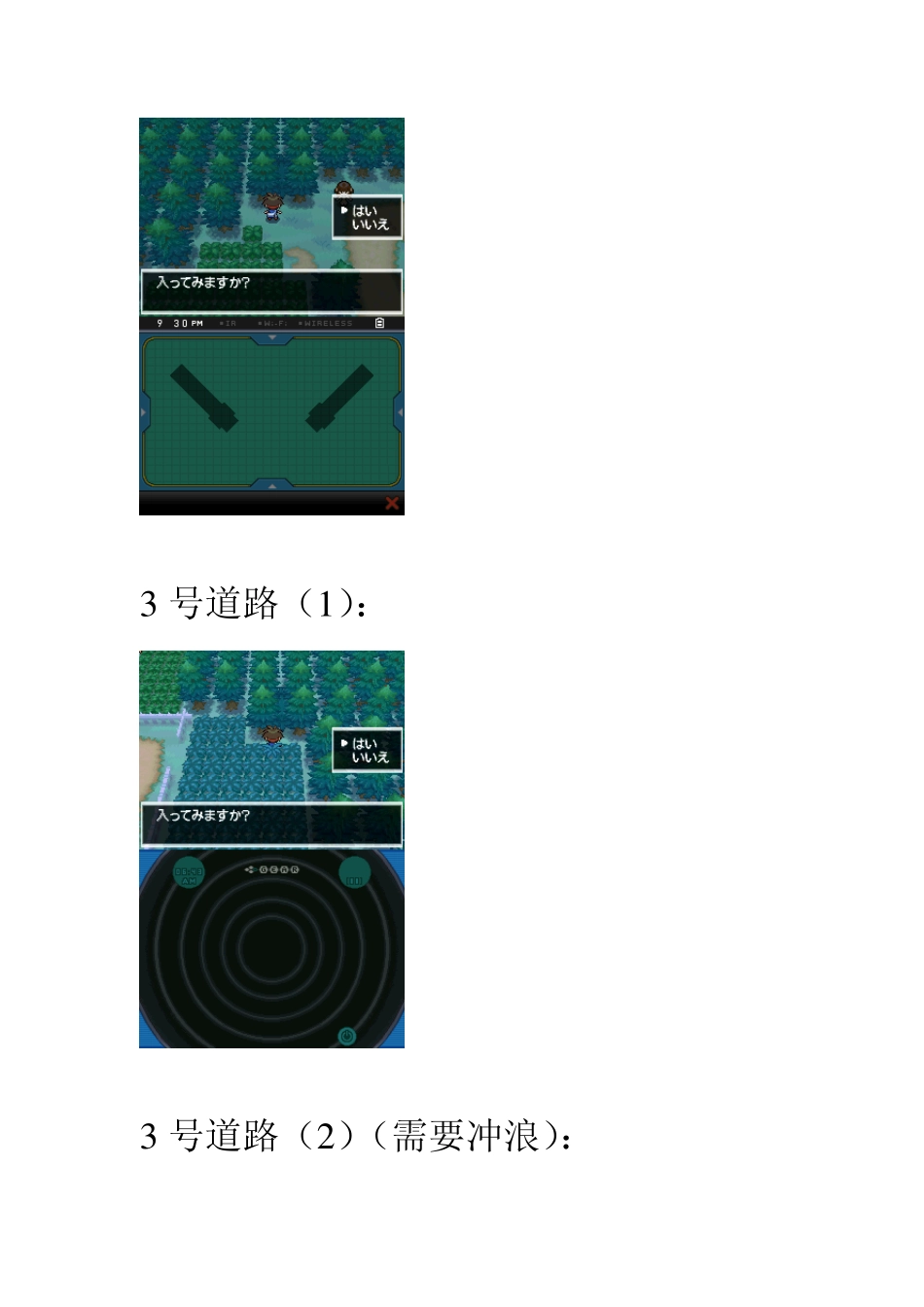 [口袋妖怪黑白2]隐藏洞穴完全说明_第2页