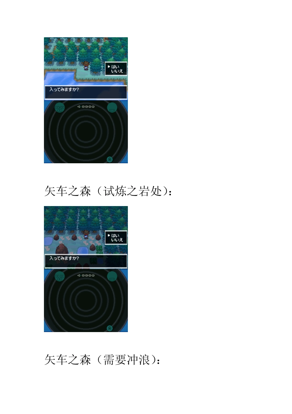 [口袋妖怪黑白2]隐藏洞穴完全说明_第3页