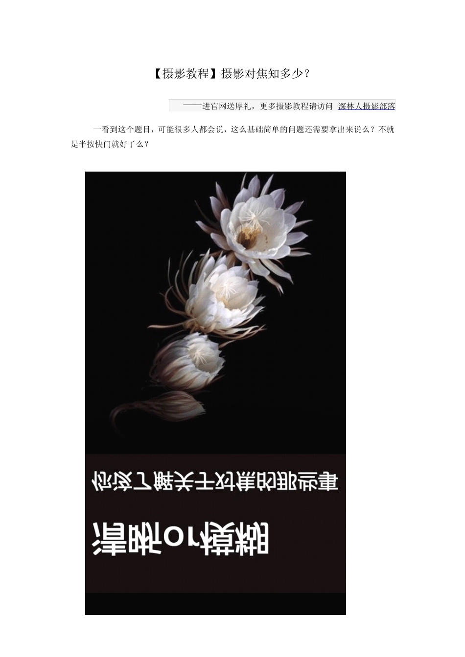 [摄影教程]摄影对焦知多少？_第1页