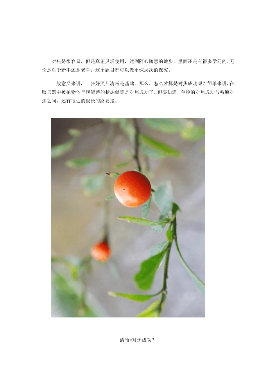 [摄影教程]摄影对焦知多少？_第2页