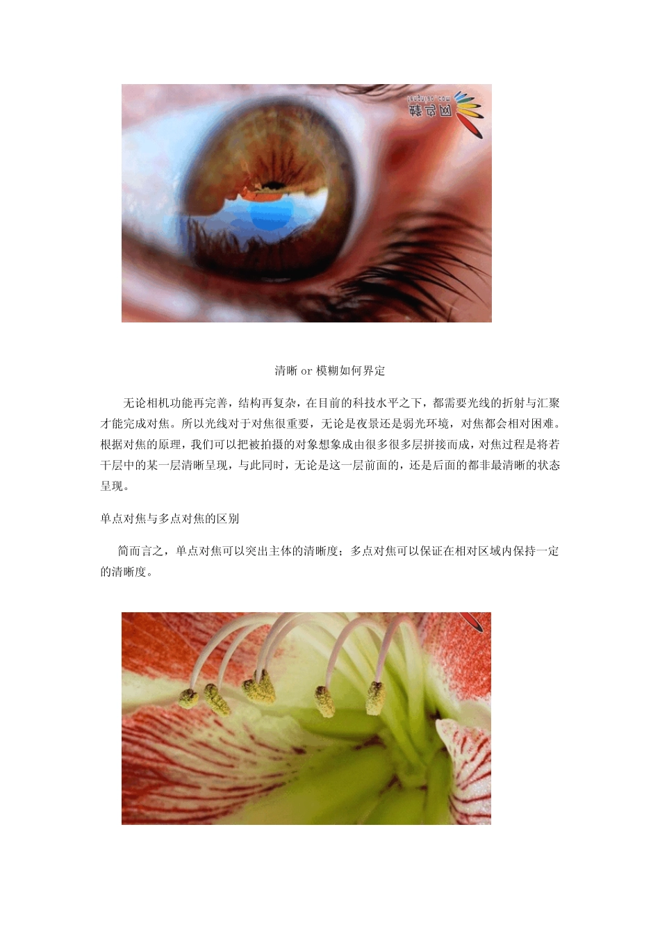 [摄影教程]摄影对焦知多少？_第3页