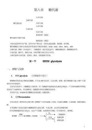 [王镜岩生物化学第三版笔记]第八章糖代谢