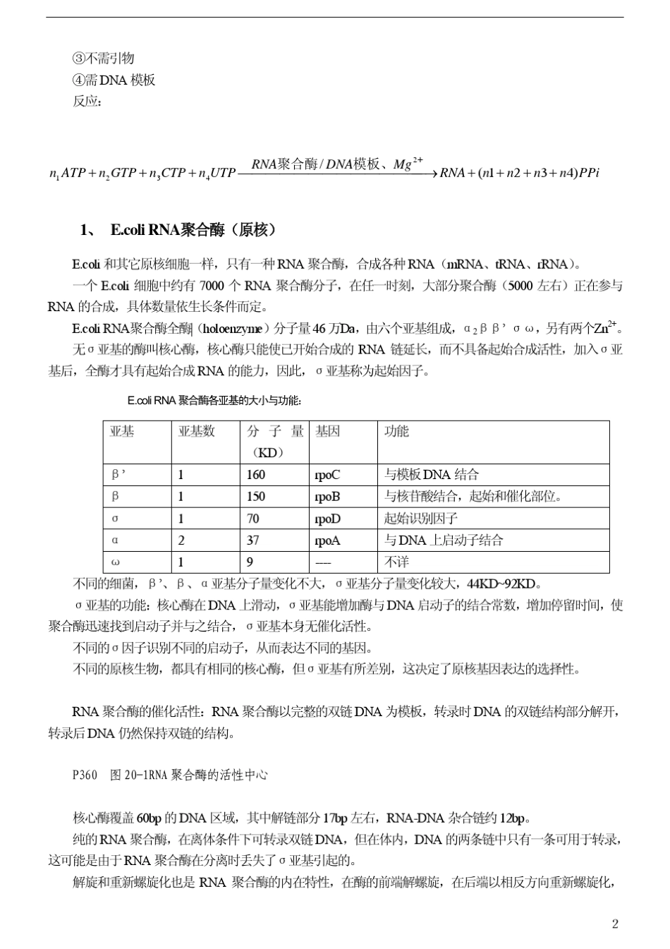 [王镜岩生物化学第三版笔记]第十四章RNA的生物合成_第2页